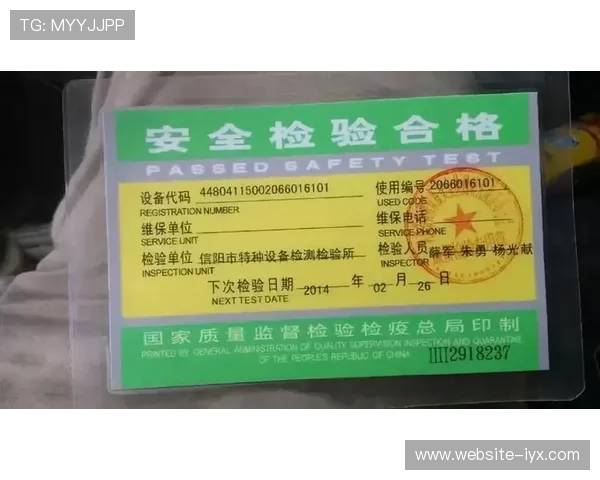 新爱集团网址安全访问指南，确保用户在浏览新爱集团官网时的安全与便捷